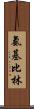 氨基比林 Scroll