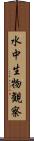 水中生物観察 Scroll