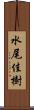 水尾佳樹 Scroll