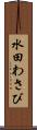 水田わさび Scroll