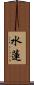 水蓮 Scroll