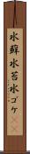 水蘚 Scroll