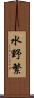 水野繁 Scroll