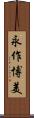 永作博美 Scroll
