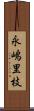 永嶋里枝 Scroll