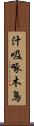 汁吸啄木鳥 Scroll
