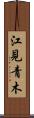 江見青木 Scroll