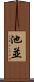 池並 Scroll