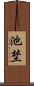 池埜 Scroll