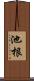 池根 Scroll