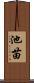 池苗 Scroll