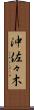 沖佐々木 Scroll