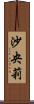 沙央莉 Scroll