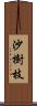 沙樹枝 Scroll
