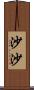 沙沙 Scroll