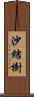 沙結樹 Scroll