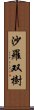 沙羅双樹 Scroll