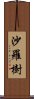 沙羅樹 Scroll