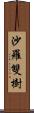 沙羅雙樹 Scroll