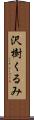沢樹くるみ Scroll