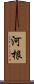 河根 Scroll