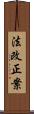 法改正案 Scroll
