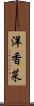 洋香菜 Scroll