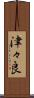 津々良 Scroll