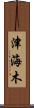 津海木 Scroll