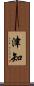 津知 Scroll