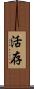 活存 Scroll