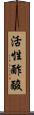 活性酢酸 Scroll