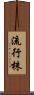 流行株 Scroll