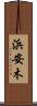 浜安木 Scroll