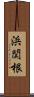 浜関根 Scroll