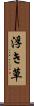 浮き草 Scroll