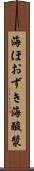 海ほおずき Scroll