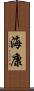 海康 Scroll