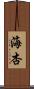 海杏 Scroll