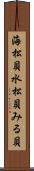 海松貝 Scroll