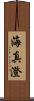 海真澄 Scroll