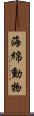 海綿動物 Scroll
