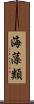 海藻類 Scroll