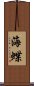 海蝶 Scroll