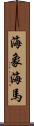 海象 Scroll
