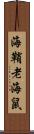 海鞘 Scroll