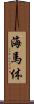 海馬体 Scroll