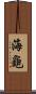 海龜 Scroll