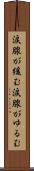 涙腺が緩む Scroll