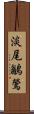 淡尾鶲鶯 Scroll